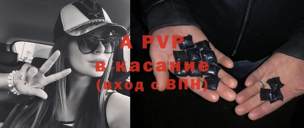 сатива Арсеньев