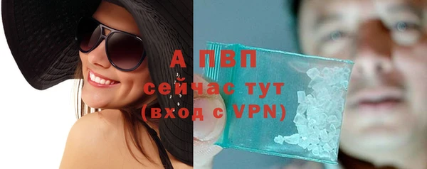сатива Арсеньев