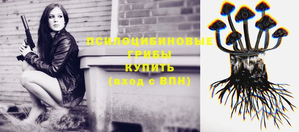 дмт Армянск