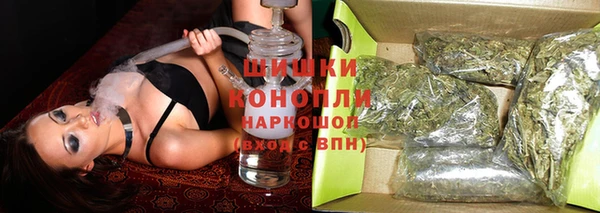бошки Аркадак