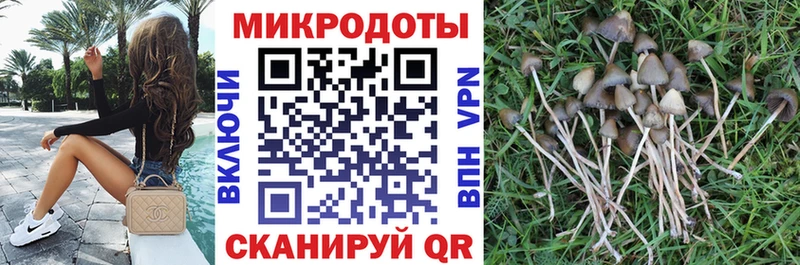 сколько стоит  Артёмовский  Псилоцибиновые грибы GOLDEN TEACHER 